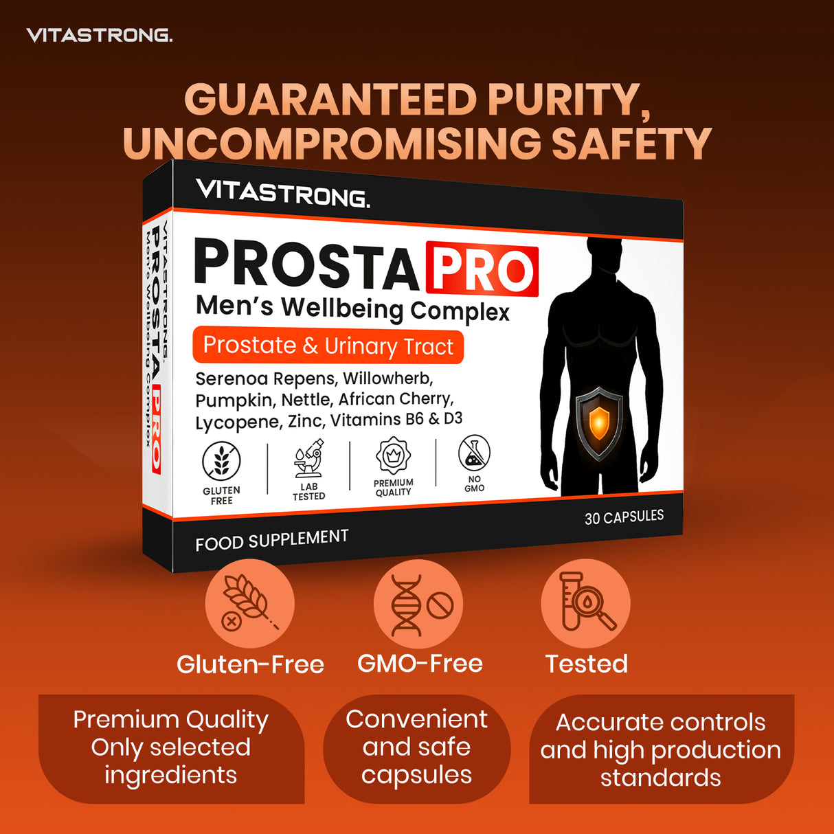 PROSTA PRO