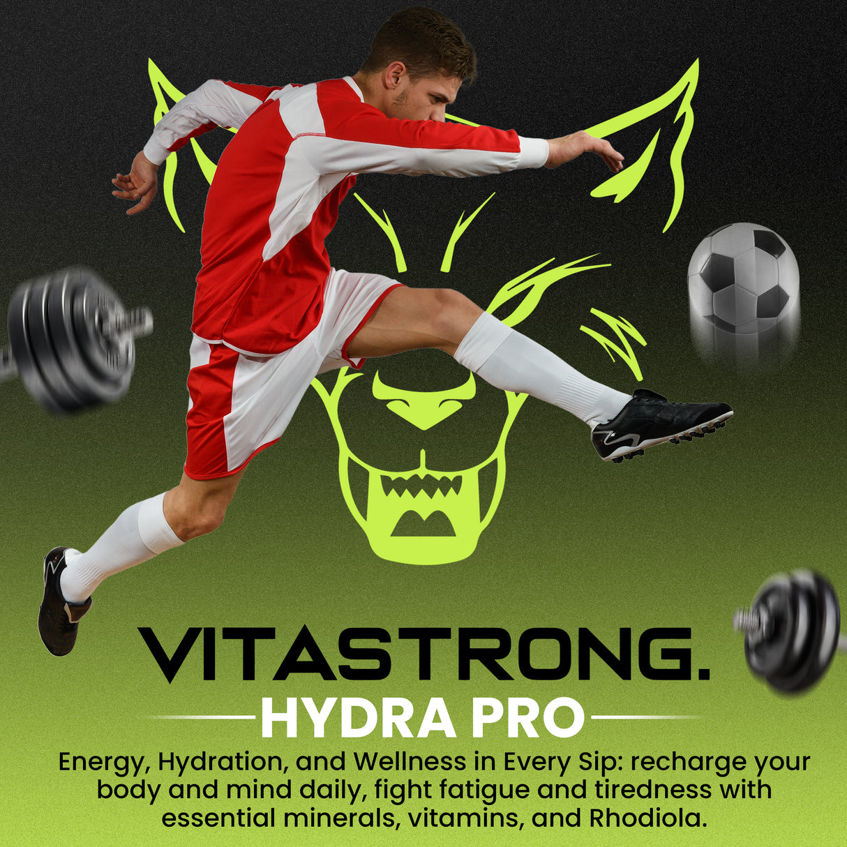 HYDRA PRO