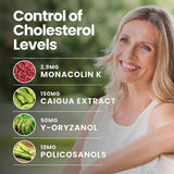 CHOLESTEROL COMPLEX