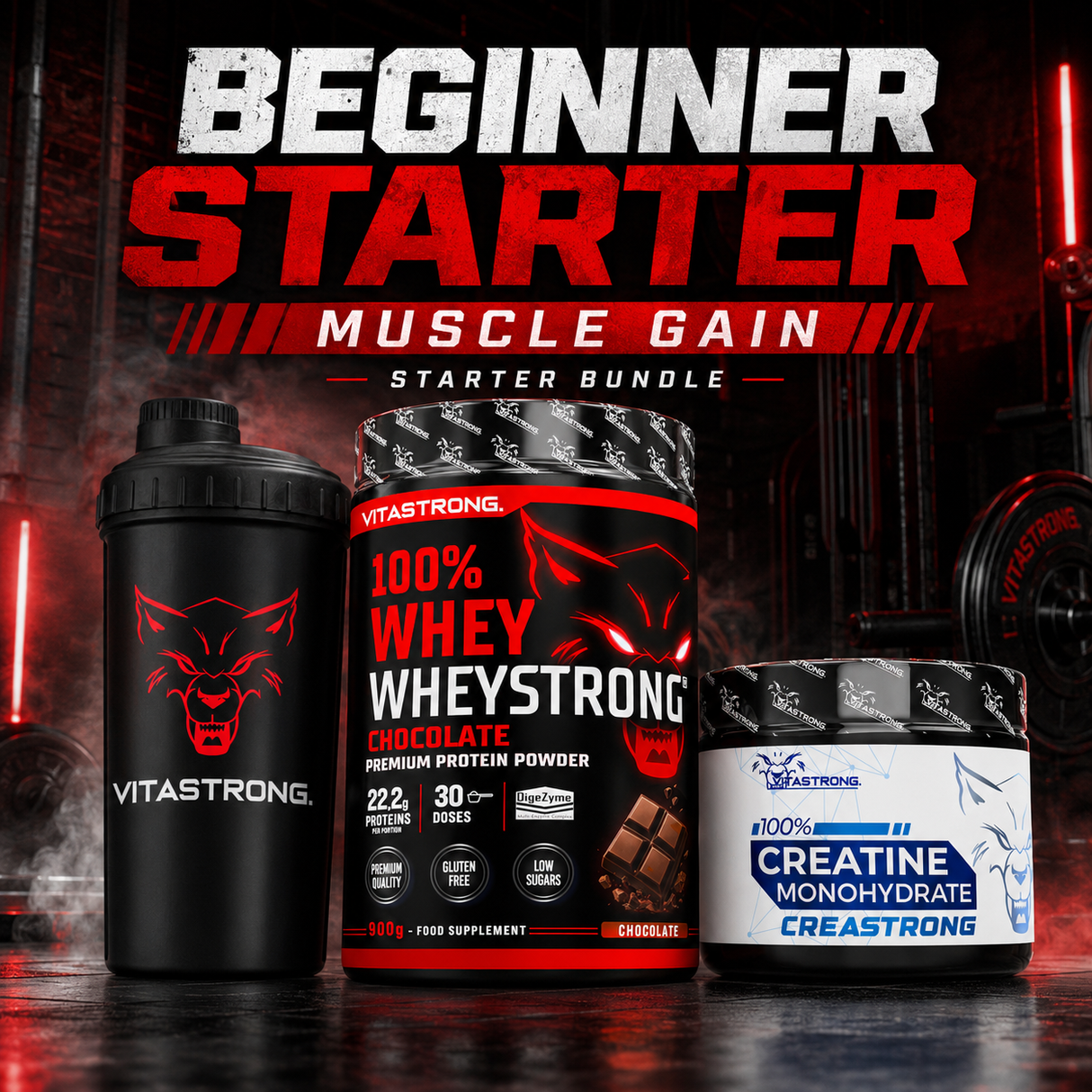 Beginner Starter - Muscle Gain