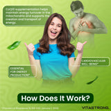 COENZYME Q10